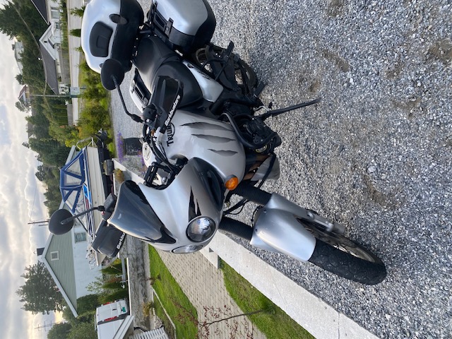 TRIUMPH TIGER